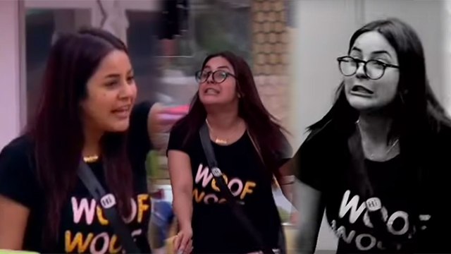 Bigg Boss 13: Shehnaz Gill का Hindustani Bhau और Shefali पर फूटा गुस्सा | FilmiBeat