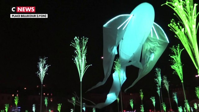 20e édition de la Fête des Lumières à Lyon : une invitation au voyage