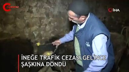 Şaşkına çeviren ceza...  ‘Böyle bir şey var mıymış? Hiç duymadık’
