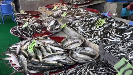 İsmail Oğuz: "Hamsinin Geleceği Tehlikede"