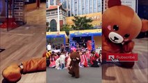 Chú gấu lầy tik tok vui nhộn P6  Cao thủ triệu view tiktok Trung Quốc 2019  Nhà gấu
