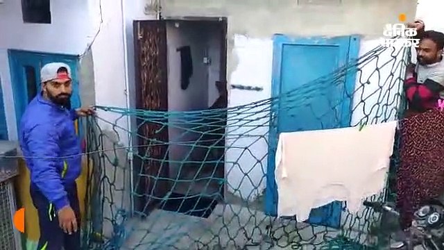 चार घंटे की मशक्कत के बाद वन विभाग ने सांभर को पकड़ा