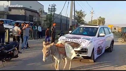 Man uses donkey to tow broken car past dealership which sold him vehicle