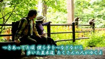 青いベンチ / サスケ 弾き語り by にじば 週2配信 107回目