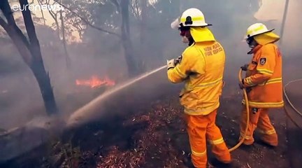 Incendios en la costa este de Australia