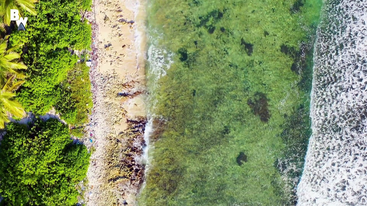 Swarmed by Giant Stingrays!