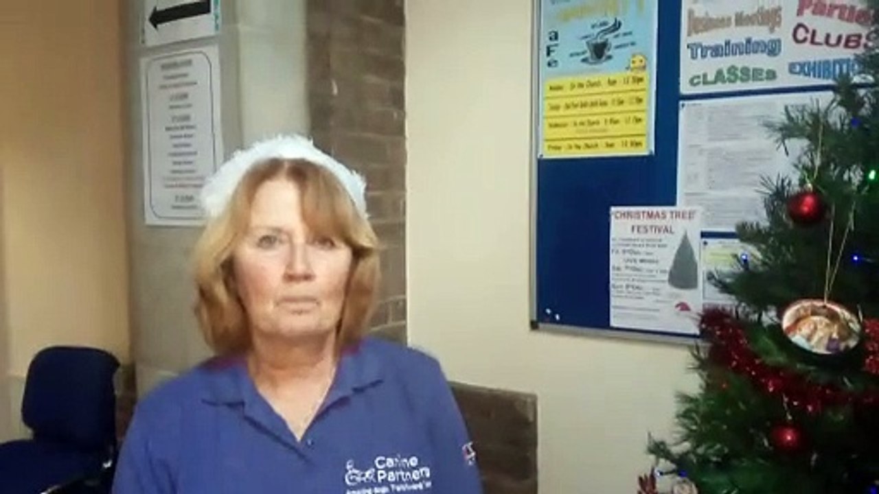 Christmas Tree Festival
