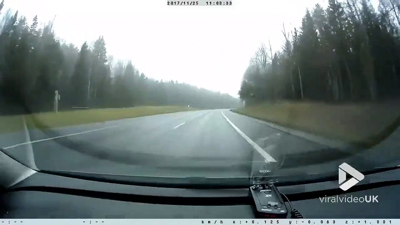 Cet automobiliste va avoir une grosse frayeur en voyant traverser un sanglier poursuivi par des chiens