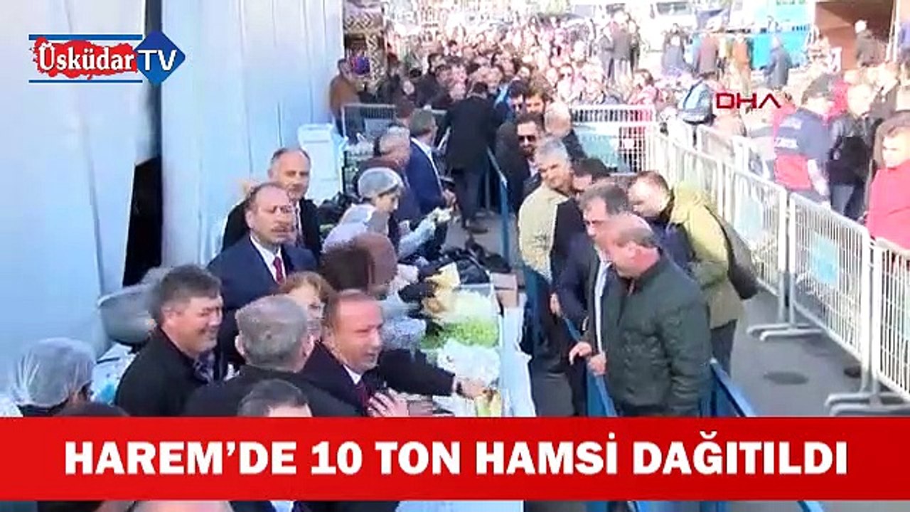 Üsküdar'da 10 Ton Hamsi Dağıtıldı
