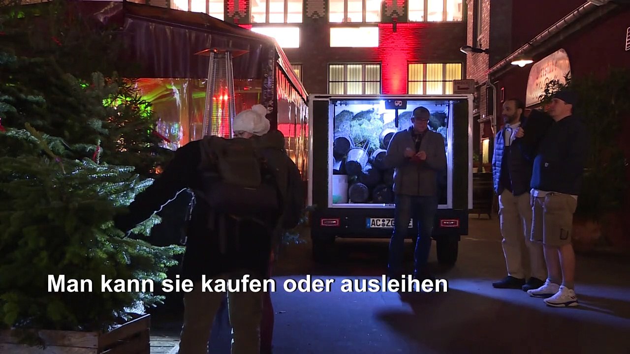 Öko-weihnachtsbäume dürfen im januar weiterwachsen