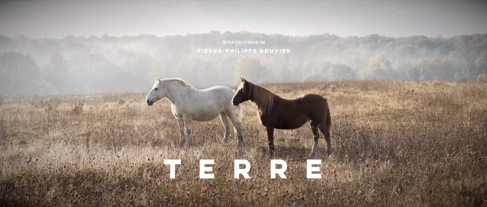 TERRE