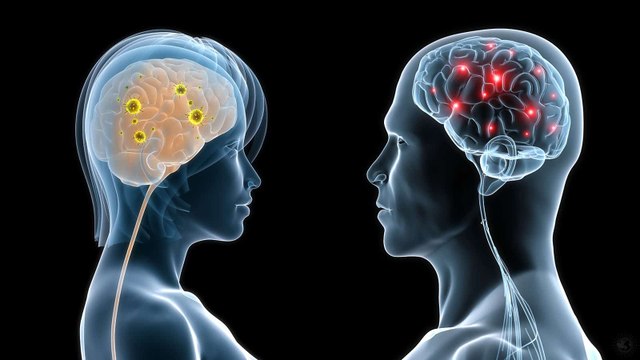 Descubren qué neuronas son las responsables de la atracción sexual