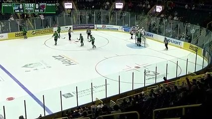 Game Recap - South Carolina Stingrays at Florida Everblades