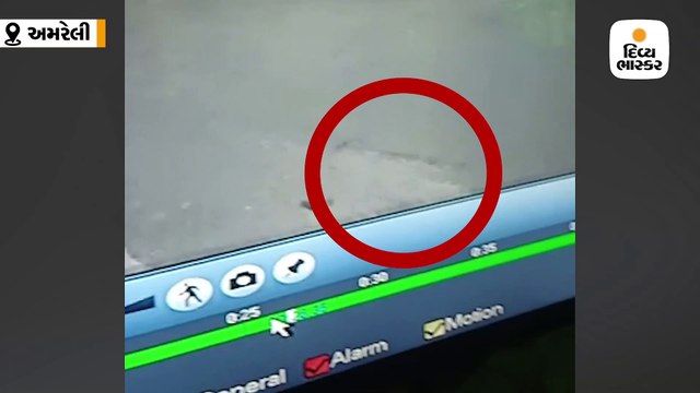 માનવભક્ષી દિપડાએ મહિલા પર હુમલો કર્યો, પહેલીવાર CCTV કેમેરામાં કેદ થયો