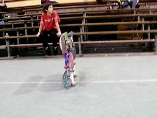 skate martin olie 3 blanche