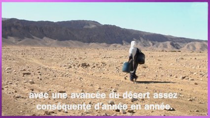 La Tunisie face à son destin écologique