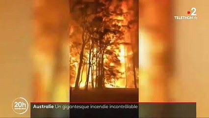 Descargar video: Les images très impressionnantes des mega-incendies en Australie qui recouvrent Sydney d'une épaisse fumée