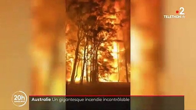 Les images très impressionnantes des mega-incendies en Australie qui recouvrent Sydney d'une épaisse fumée