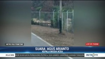 Cari Sebab Harimau Masuk Permukiman Warga