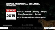 Data Serangan Harimau di Sumsel Sepanjang 2019
