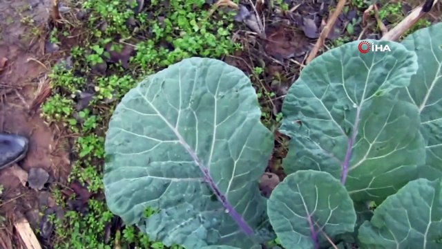 Köylülerin kömür tozu isyanı... Bu bölge zehir saçıyor