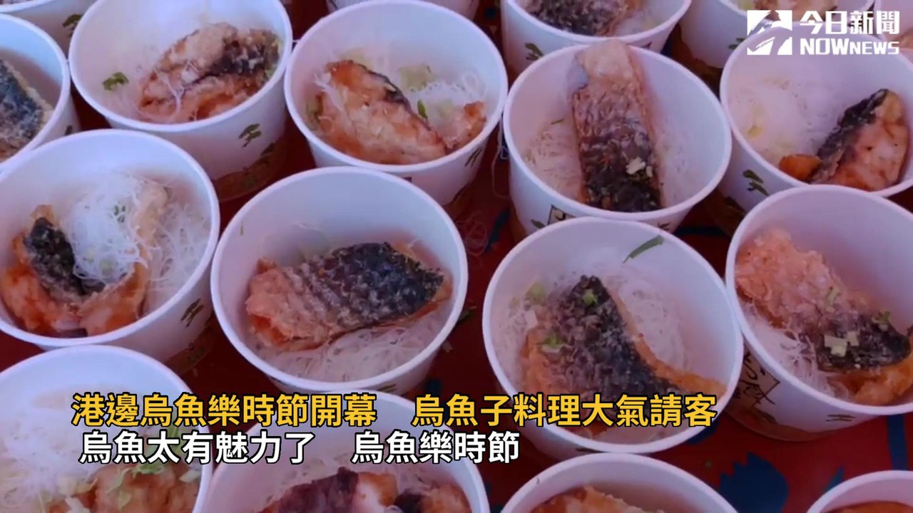 烏魚樂時節