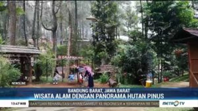 Wisata Alam dengan Panorama Hutan Pinus di Lembang