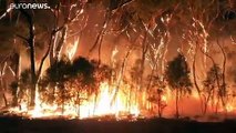 Australia: ecco le immagini del disastro ambientale che si consuma nel Paese