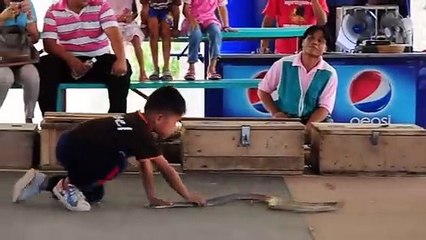 Ce garçon n'a vraiment pas peur des serpents