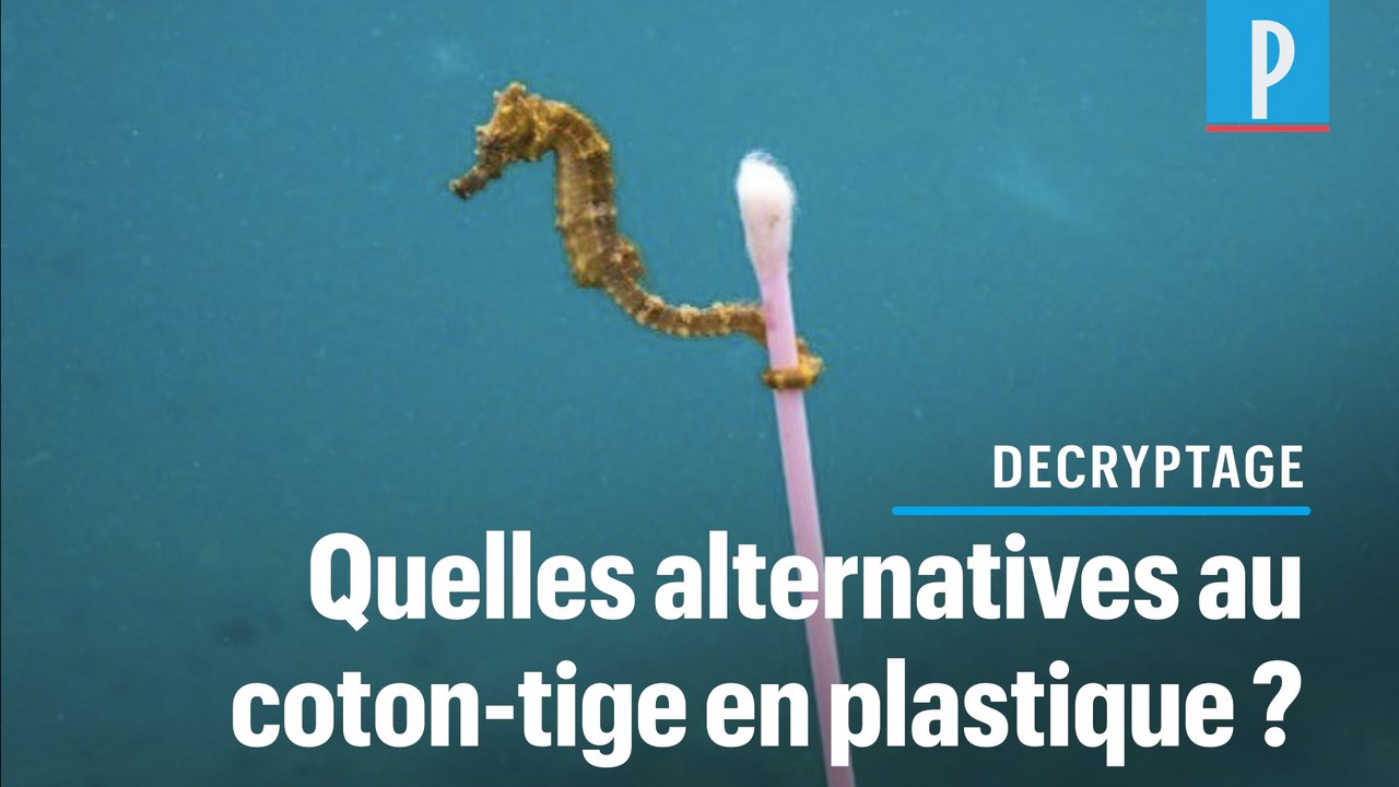 Interdiction du coton-tige en plastique : les a...