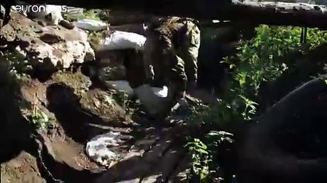 Встреча нормандской четверки : ожидания и надежды