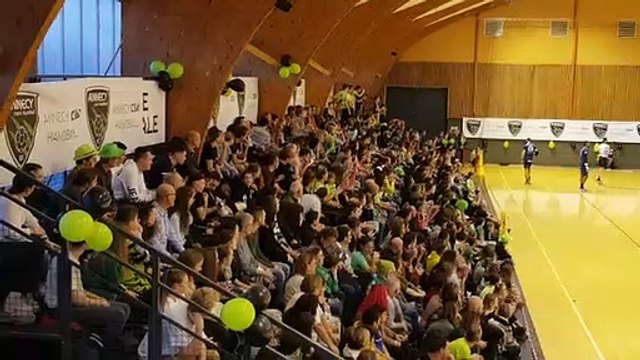 Handball : ambiance de feu à Annecy pour le 16e de finale entre Annecy-le-Vieux et Montpellier