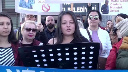 Antalya'da hayvan bakımevindeki köpeklerin öldürüldüğü iddia edildi