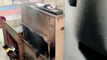 Νέο Δελχί: Πολύνεκρη πυρκαγιά σε εργοστάσιο