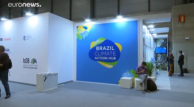 Brasil reclama más ayuda en la lucha contra la deforestación en la COP25