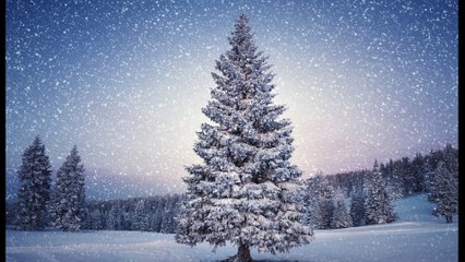 Choisissez votre boule du sapin bleu de noël de France Bleu Isère
