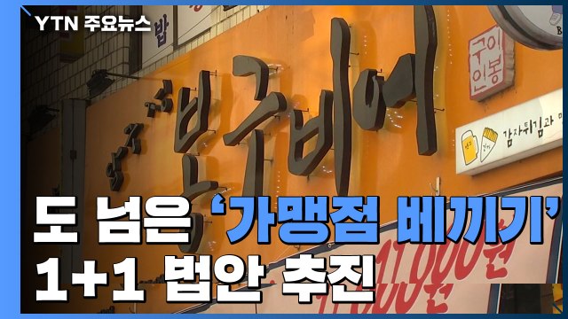 도 넘은 '가맹점 베끼기'...1+1 법안 추진 / YTN