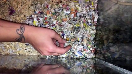 Ce qu'elle découvre dans la litière de sa gerbille est adorable