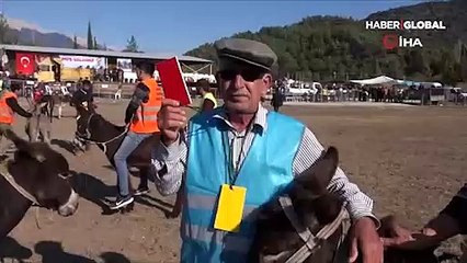 Eşekler üzerinde kıran kırana futbol maçı