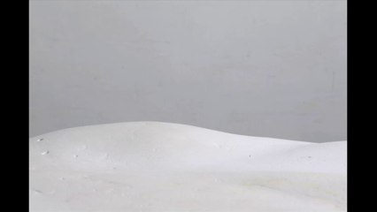 volTige - de plein fouet