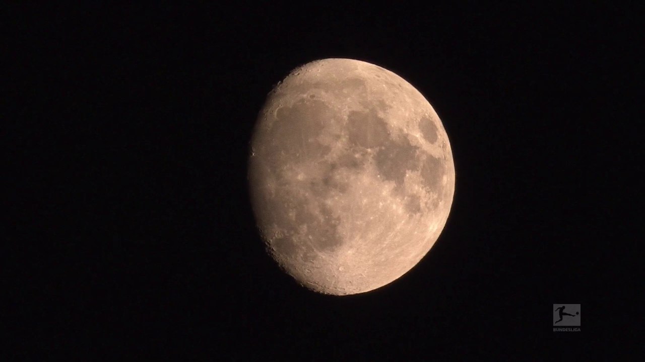 Werder Bremen v Paderborn