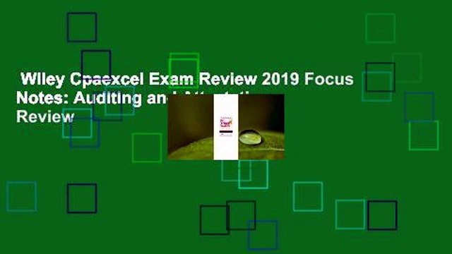 Wiley Cpaexcel Exam Review 2019 Focus Notes: Auditing and Attestation Review