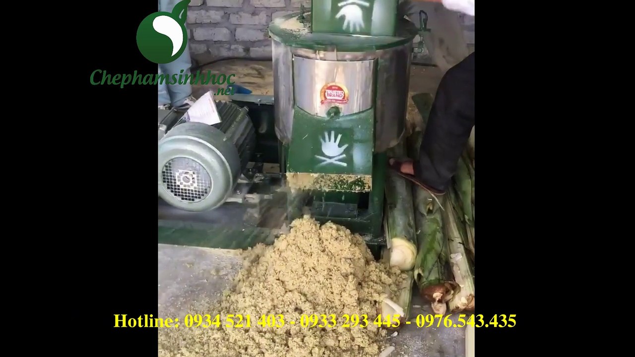 Xay cây chuối thành cám bằng máy xay đa năng Trí Đạt