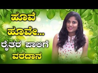 ಮಲೆನಾಡಿಗೆ ಇಳಿದು ಬಂದಿದೆ ಹೂವಿನ ಸ್ವರ್ಗ | BOLDSKY KANNADA | MADKERI |
