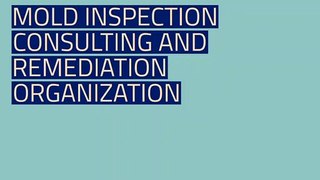 MOLD INSPECTION CONSULTING AND REMEDIATION ORGANIZATION