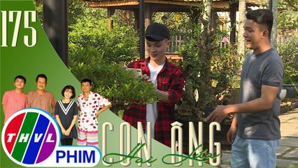 Con ông Hai Lúa - Tập 175[1]: Tám Tàng cho phép người lạ thoải mái chụp hình cây kiểng của nhà mình