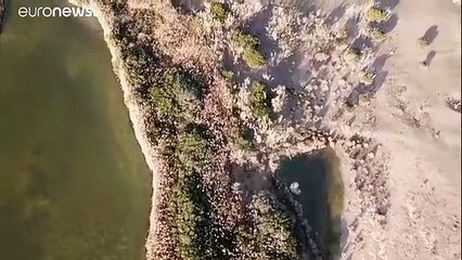 En Andalousie, la salinité accrue des eaux souterraines inquiète les agriculteurs