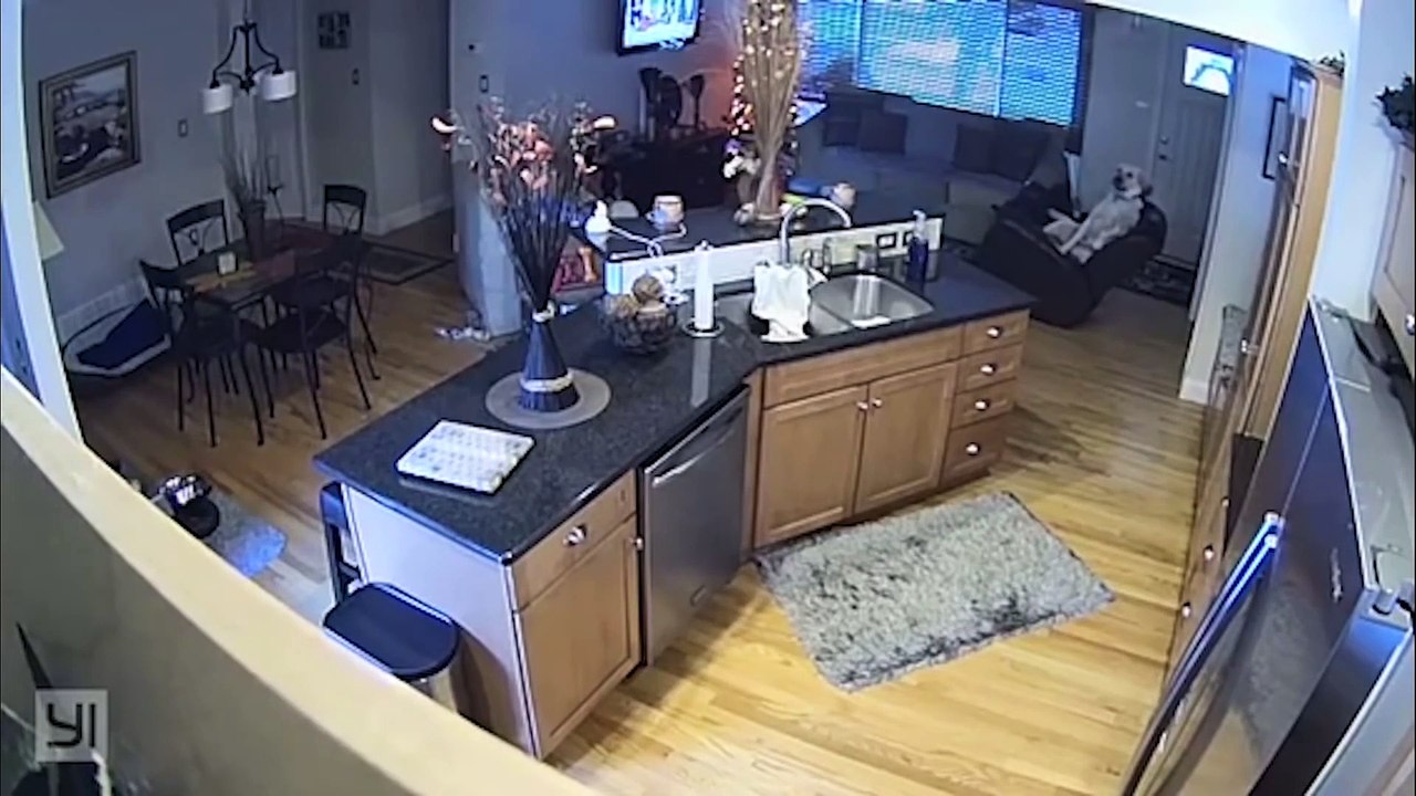 3, 2, 1.... FAIL!   Funny Videos 2019