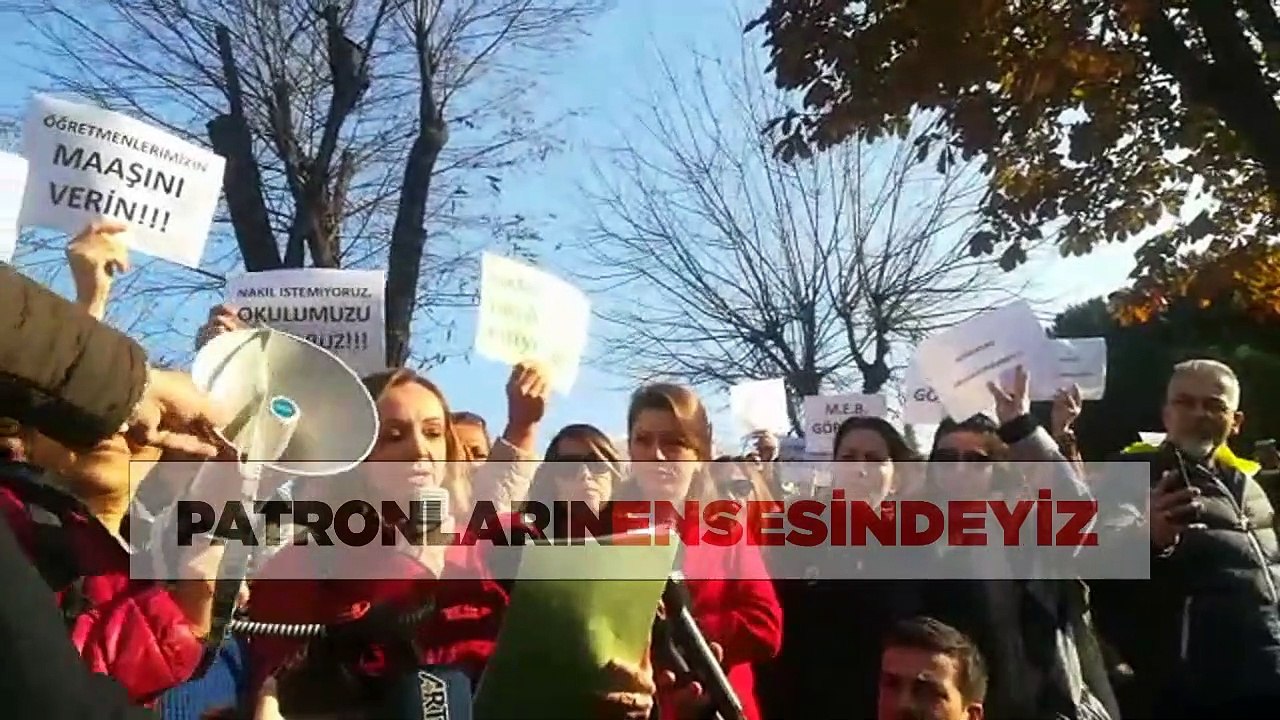Doğa koleji