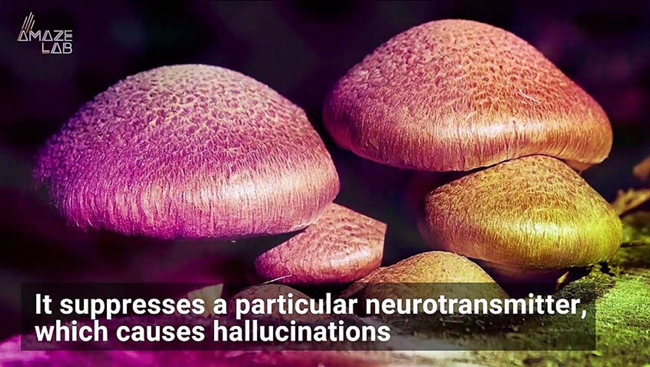 The Fascinating Reason Why Some Mushrooms are 'Magic'